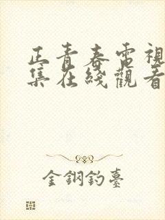 正青春电视剧全集在线观看免费