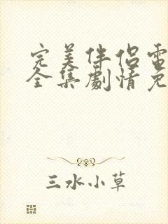 完美伴侣电视剧全集剧情免费观看