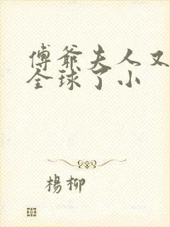 傅爷夫人又惊艳全球了小