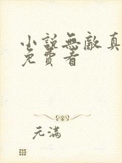 小说无敌真寂寞免费看封面