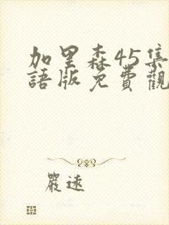 加里森45集国语版免费观看