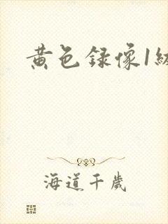 黄色录像1级片封面