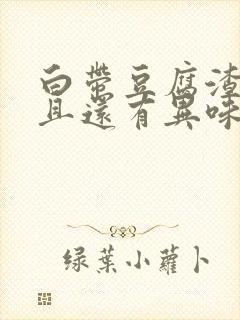 白带豆腐渣状而且还有异味