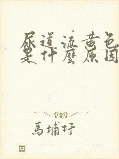 尿道流黄色液体是什么原因