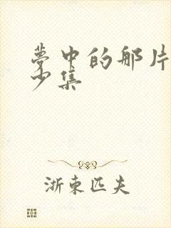 梦中的那片海多少集封面