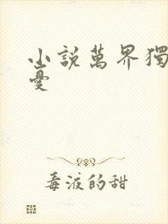 小说万界独尊无忧