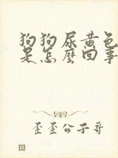 狗狗尿黄色的尿是怎么回事封面