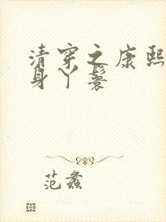 清穿之康熙的贴身丫鬟