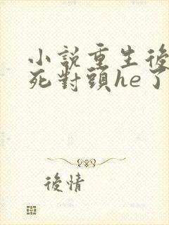 小说重生后我跟死对头he了全文