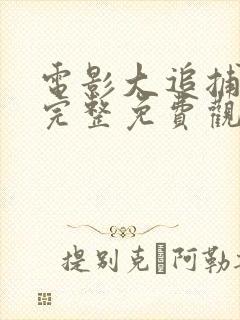 电影大追捕在线完整免费观看封面