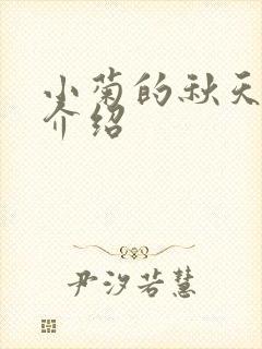 小菊的秋天分集介绍