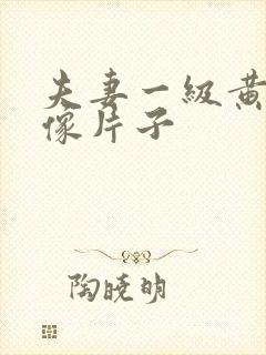 夫妻一级黄色录像片子