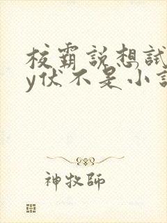 校霸说想试试by伏不是小说免费阅读