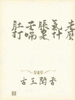 肚子胀气老放屁打嗝是什么原因