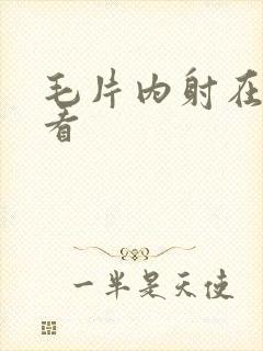 毛片内射在线观看