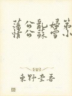 荡公乱妇第1章情公苏雪小说封面