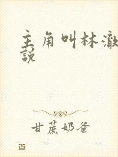 主角叫林澈的小说