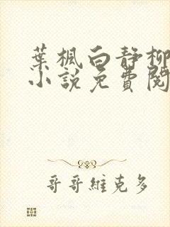 叶枫白静柳如烟小说免费阅读封面