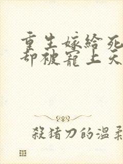 重生嫁给死对头却被宠上天短剧全集