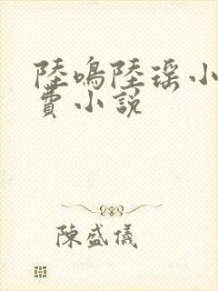 陆鸣陆瑶小说免费小说