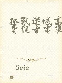 孤战迷城高清免费观看电视剧