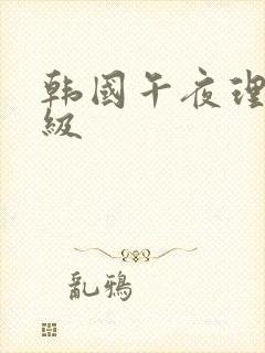 韩国午夜理伦三级封面