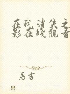 在我消失之前电影在线观看免费播放封面