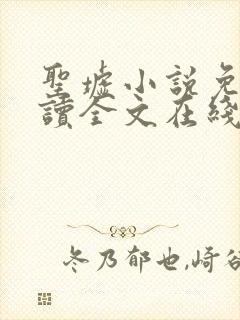 圣墟小说免费阅读全文在线封面