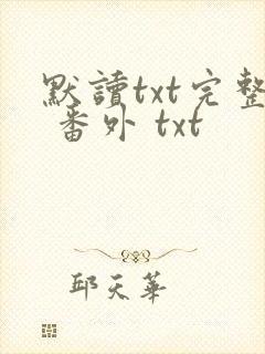 默读txt完整 番外 txt封面