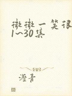 微微一笑很倾城1~30集