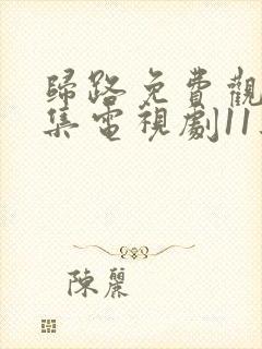 归路免费观看全集电视剧11集