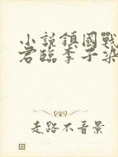 小说镇国战神叶君临李子染