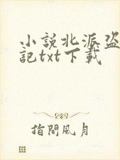 小说北派盗墓笔记txt下载封面