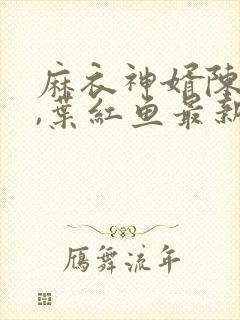 麻衣神婿陈黄皮,叶红鱼最新章节目录