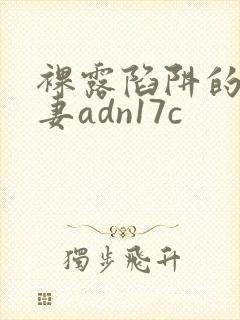 裸露陷阱的美人妻adn17c