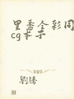 里番全彩同人acg本子