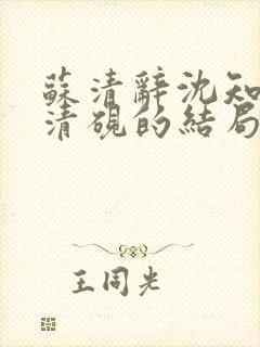 苏清辞沈知夏林清砚的结局是什么封面