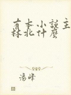 有本小说主角叫林北什么封面