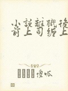 小说离职后我被前上司缠上了免费看