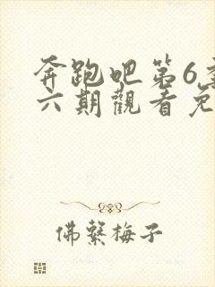 奔跑吧第6季第六期观看免费封面