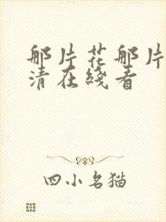 那片花那片海高清在线看封面