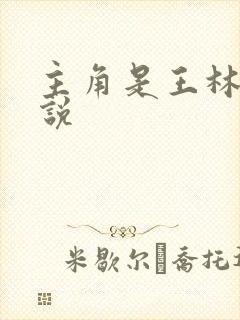 主角是王林的小说