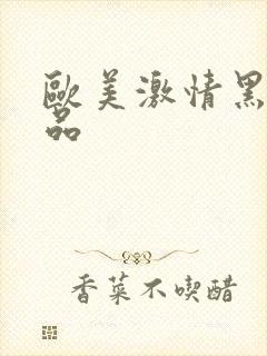 欧美激情黑人极品