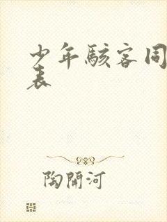 少年骇客同人爱表封面