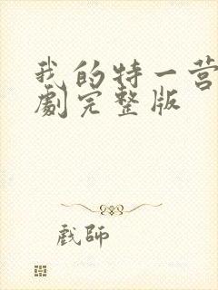 我的特一营电视剧完整版封面