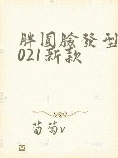 胖圆脸发型女2021新款