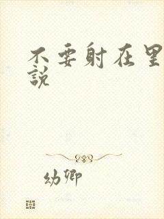 不要射在里面小说