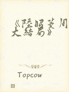《陆昭菱周时阅大结局》封面