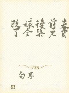 改嫁后前夫悔疯了全集免费观看