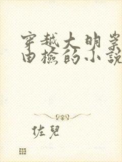 穿越大明崇祯朱由检的小说